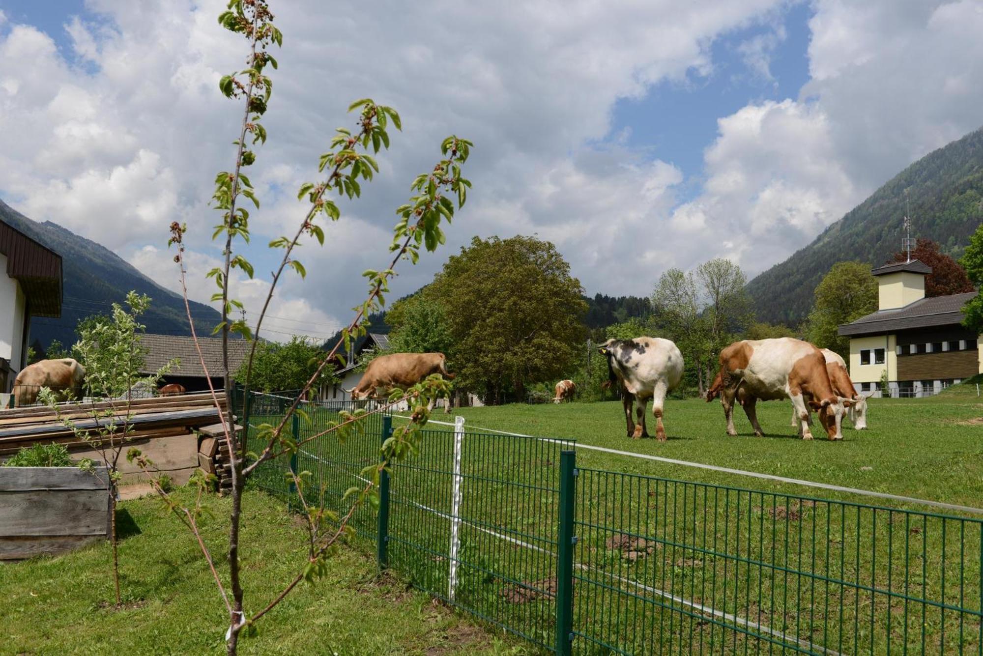 Ferienhaus Kolbnitz Unterkolbnitz Bagian luar foto